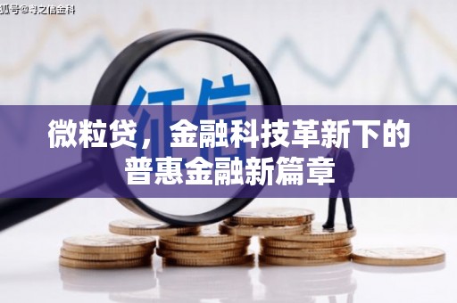 徐水微粒贷，金融科技革新下的普惠金融新篇章