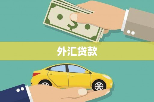 徐水外汇贷款