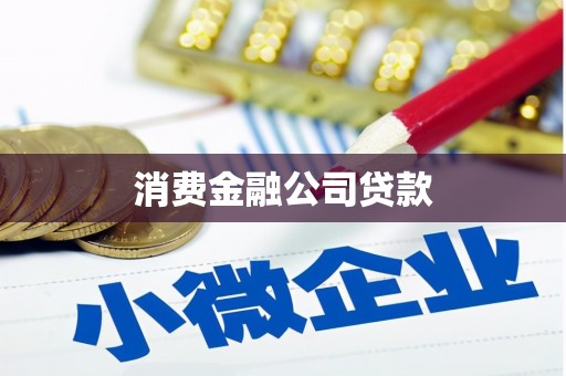 徐水消费金融公司贷款
