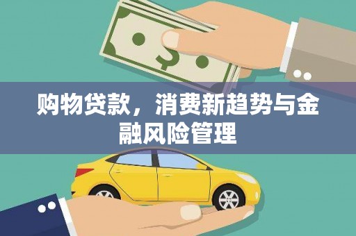 徐水购物贷款，消费新趋势与金融风险管理