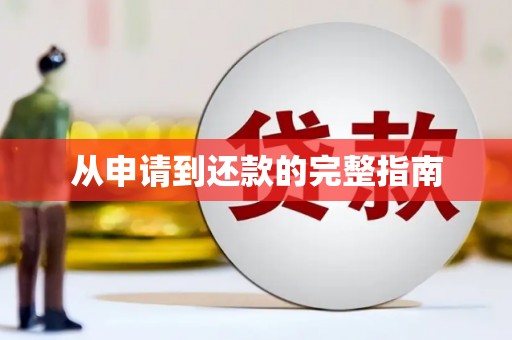 徐水从申请到还款的完整指南