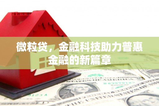 徐水微粒贷，金融科技助力普惠金融的新篇章