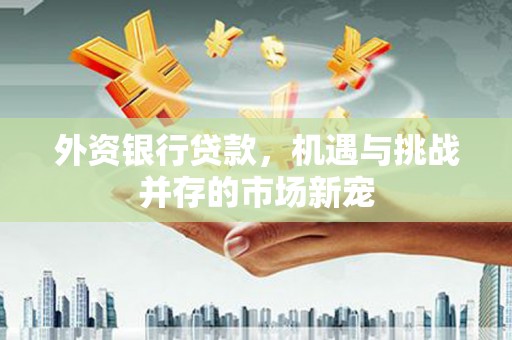 徐水外资银行贷款，机遇与挑战并存的市场新宠