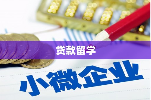 徐水贷款留学