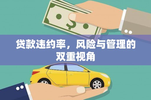徐水贷款违约率，风险与管理的双重视角