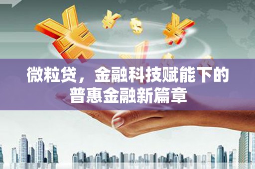 徐水微粒贷，金融科技赋能下的普惠金融新篇章