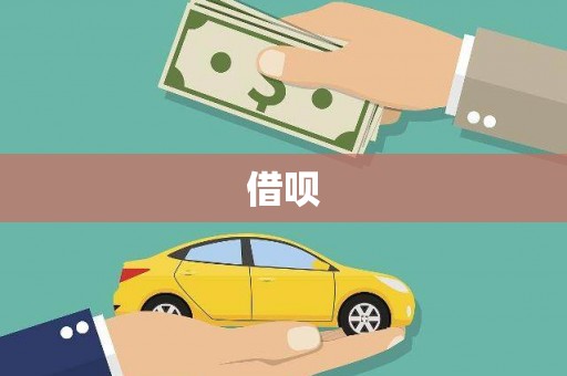 徐水借呗