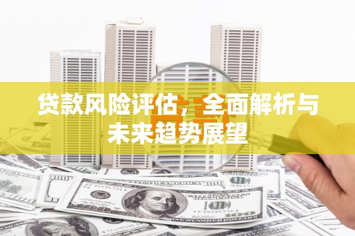 徐水贷款风险评估，全面解析与未来趋势展望