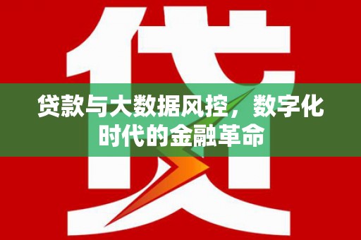 徐水贷款与大数据风控，数字化时代的金融革命