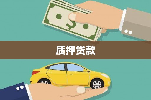 徐水质押贷款