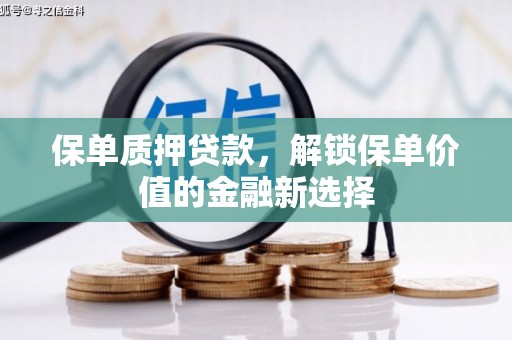 徐水保单质押贷款，解锁保单价值的金融新选择