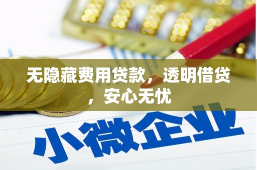 徐水无隐藏费用贷款，透明借贷，安心无忧