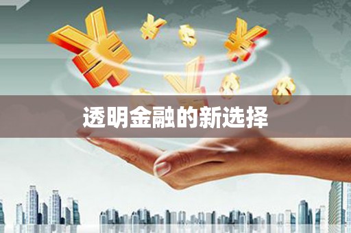 徐水透明金融的新选择