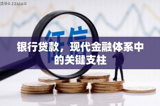 徐水银行贷款，现代金融体系中的关键支柱