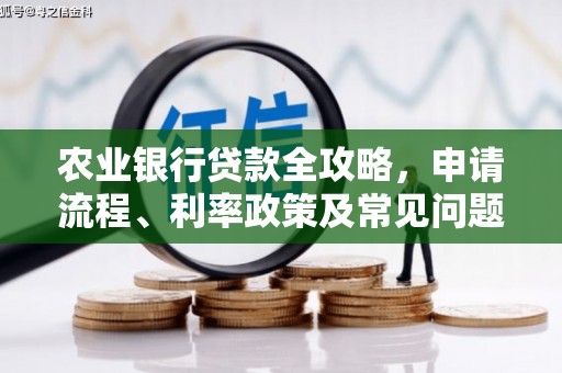 徐水农业银行贷款全攻略，申请流程、利率政策及常见问题解析