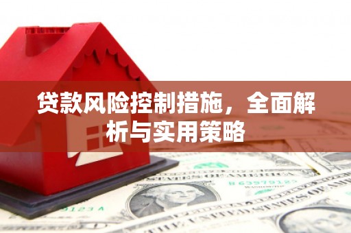 徐水贷款风险控制措施，全面解析与实用策略