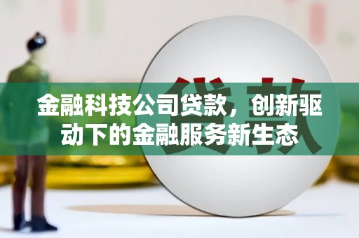 徐水金融科技公司贷款，创新驱动下的金融服务新生态