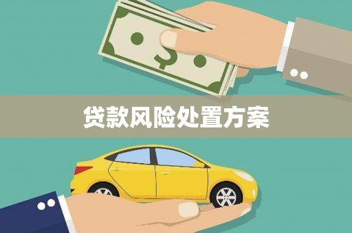 徐水贷款风险处置方案