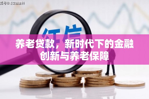 徐水养老贷款，新时代下的金融创新与养老保障
