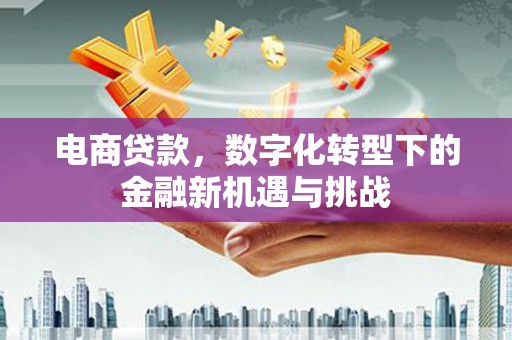 徐水电商贷款，数字化转型下的金融新机遇与挑战