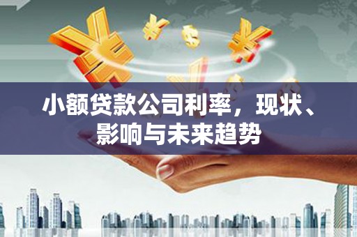 徐水小额贷款公司利率，现状、影响与未来趋势
