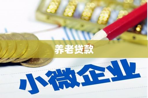 徐水养老贷款
