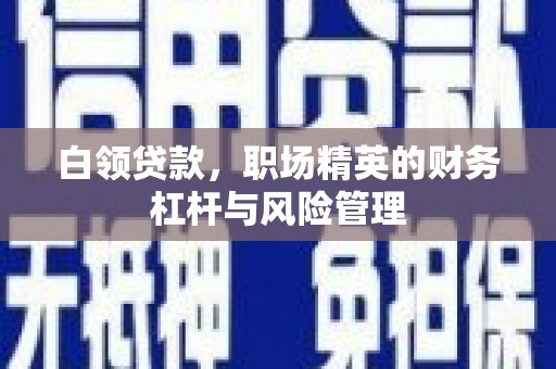 徐水白领贷款，职场精英的财务杠杆与风险管理
