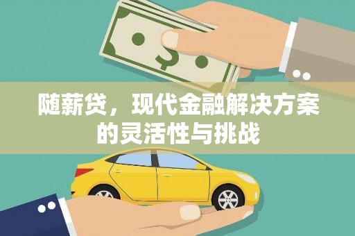 徐水随薪贷，现代金融解决方案的灵活性与挑战