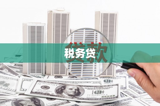 徐水税务贷