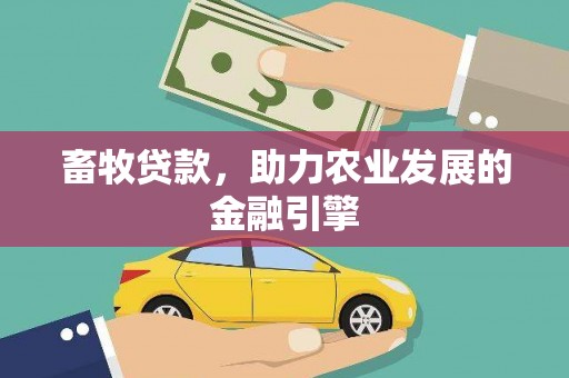 徐水畜牧贷款，助力农业发展的金融引擎