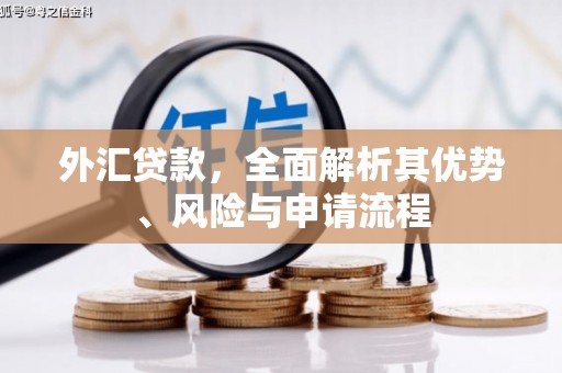 徐水外汇贷款，全面解析其优势、风险与申请流程