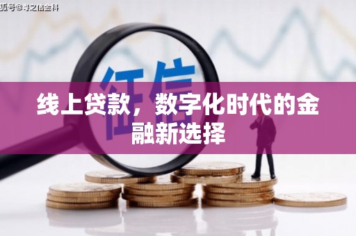 徐水线上贷款，数字化时代的金融新选择