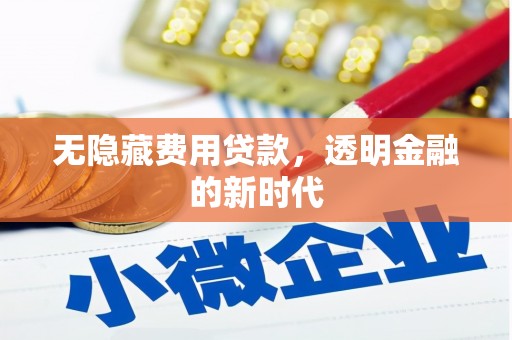 徐水无隐藏费用贷款，透明金融的新时代