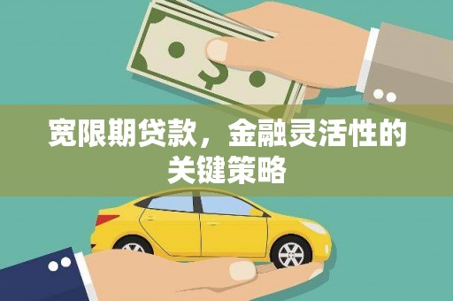 徐水宽限期贷款，金融灵活性的关键策略