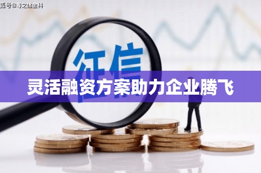 徐水灵活融资方案助力企业腾飞