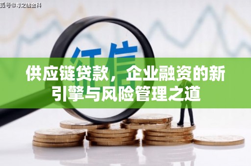 徐水供应链贷款，企业融资的新引擎与风险管理之道