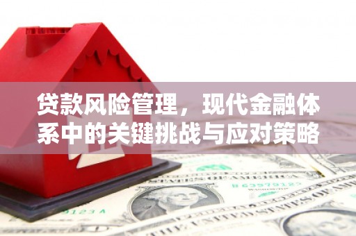 徐水贷款风险管理，现代金融体系中的关键挑战与应对策略
