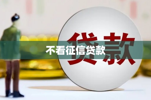 徐水不看征信贷款