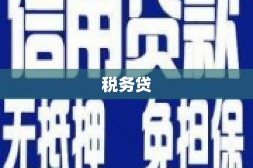 徐水税务贷
