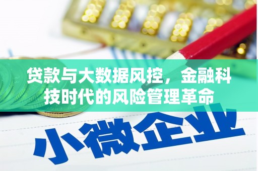 徐水贷款与大数据风控，金融科技时代的风险管理革命