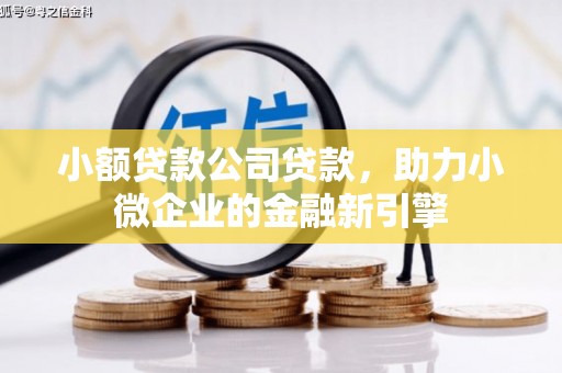 徐水小额贷款公司贷款，助力小微企业的金融新引擎