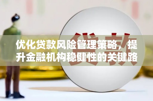 徐水优化贷款风险管理策略，提升金融机构稳健性的关键路径