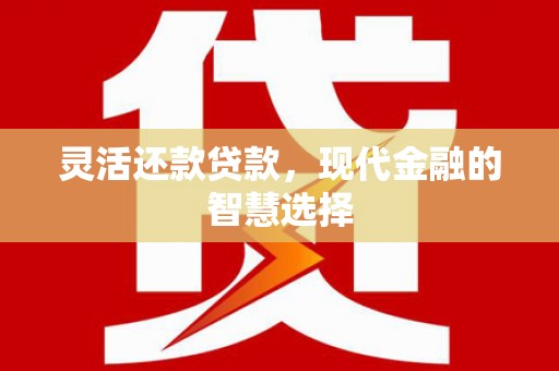 徐水灵活还款贷款，现代金融的智慧选择