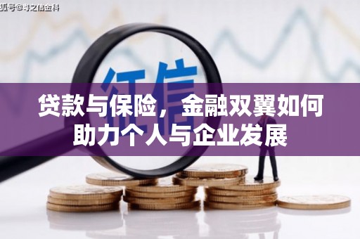 徐水贷款与保险，金融双翼如何助力个人与企业发展