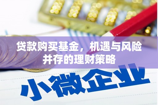徐水贷款购买基金，机遇与风险并存的理财策略