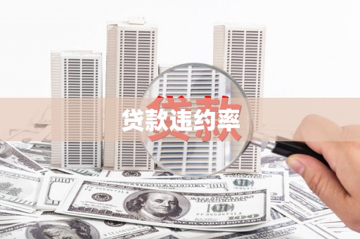 徐水贷款违约率