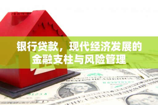 徐水银行贷款，现代经济发展的金融支柱与风险管理