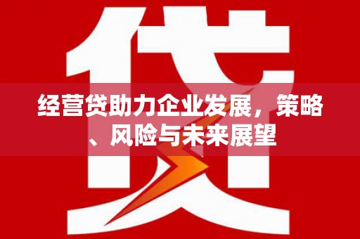 徐水经营贷助力企业发展，策略、风险与未来展望