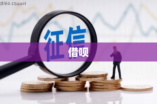 徐水借呗