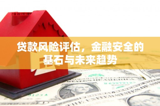 徐水贷款风险评估，金融安全的基石与未来趋势